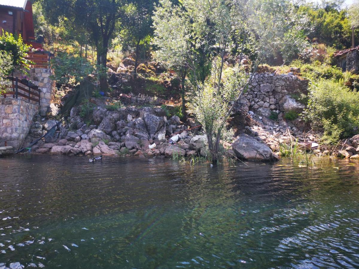 Apartment Dapcevic Skadar Lake Vranjina Dış mekan fotoğraf